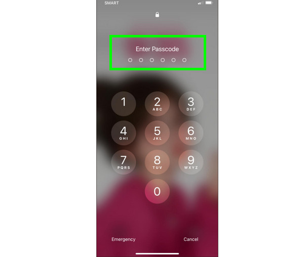 Geben Sie den Passcode ein, um den verlorenen Modus zu entfernen