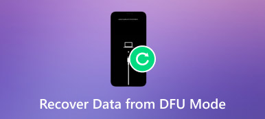 DFUモードからデータを回復する