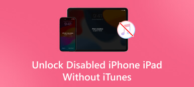 iTunes Olmadan Engelli iPhone iPad'in Kilidini Açın