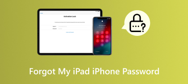 Забыли пароль на iPad iPhone S?