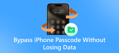 데이터 손실 없이 iPhone 암호 우회