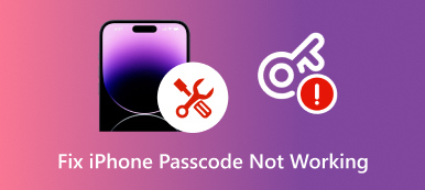 Fixa iPhone-lösenordet som inte fungerar