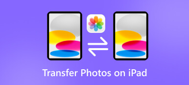 在 iPad 上传输照片