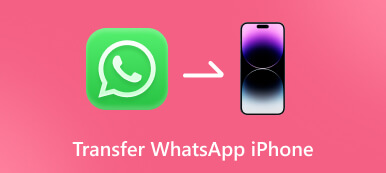 转移 WhatsApp iPhone