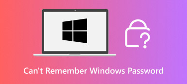 No puedo recordar la contraseña de Windows
