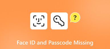 Face ID 和密码选项缺失