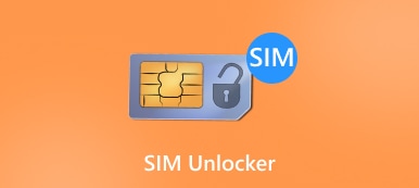 Sim Ontgrendelaar