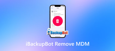 iBackupBot MDM の削除