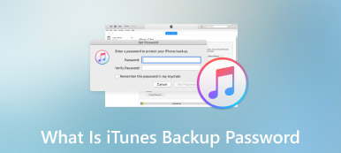 What is iTunes Backup Password